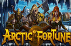 Arctic Fortune