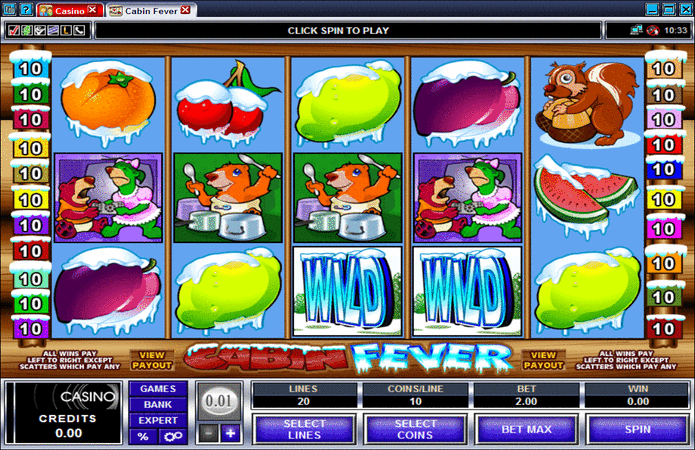 Cabin Fever Slot Machine