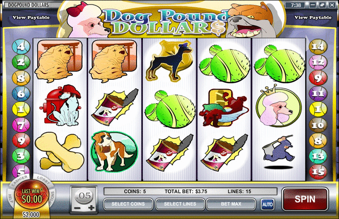 Dog Pound Slot