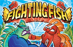 Fighting Fish