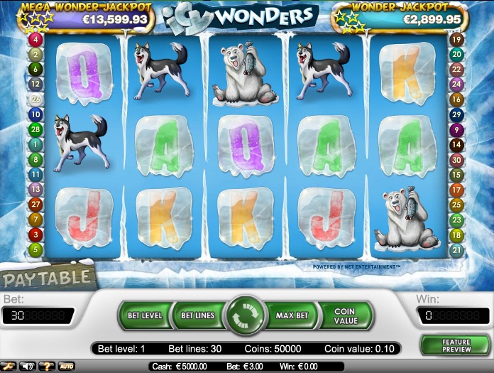 Icy Wonders Slot Machine