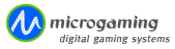 Microgaming Video Slots