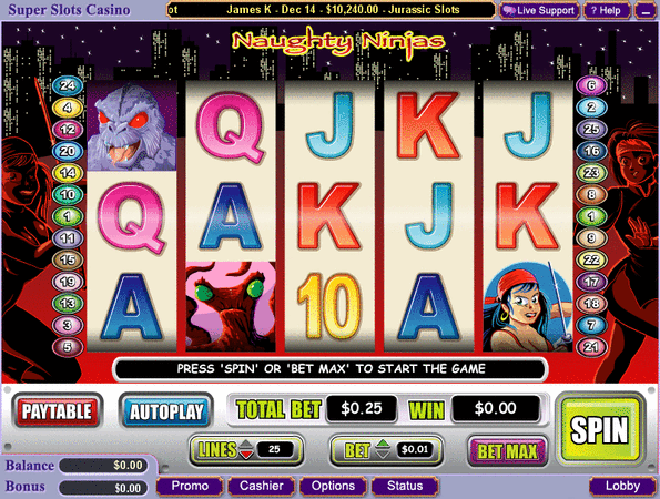 Naughhty Ninjas Slot