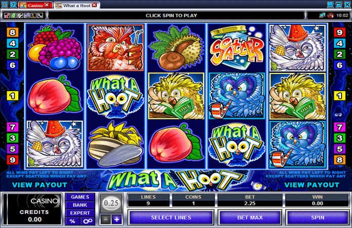 What A Hoot Slot Machine
