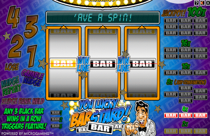 You Lucky Barstard Fruit Machine
